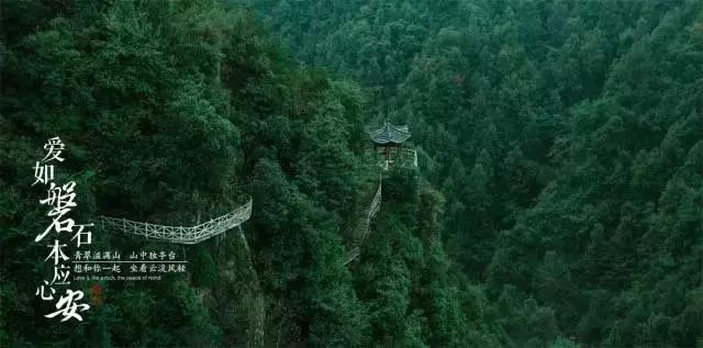 解锁知识共享,加入重疾险到底有没有用?有没有必要买?知识星球平台